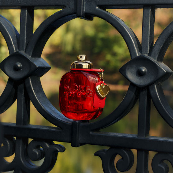 Perfume Coach Love Feminino Eau de Parfum